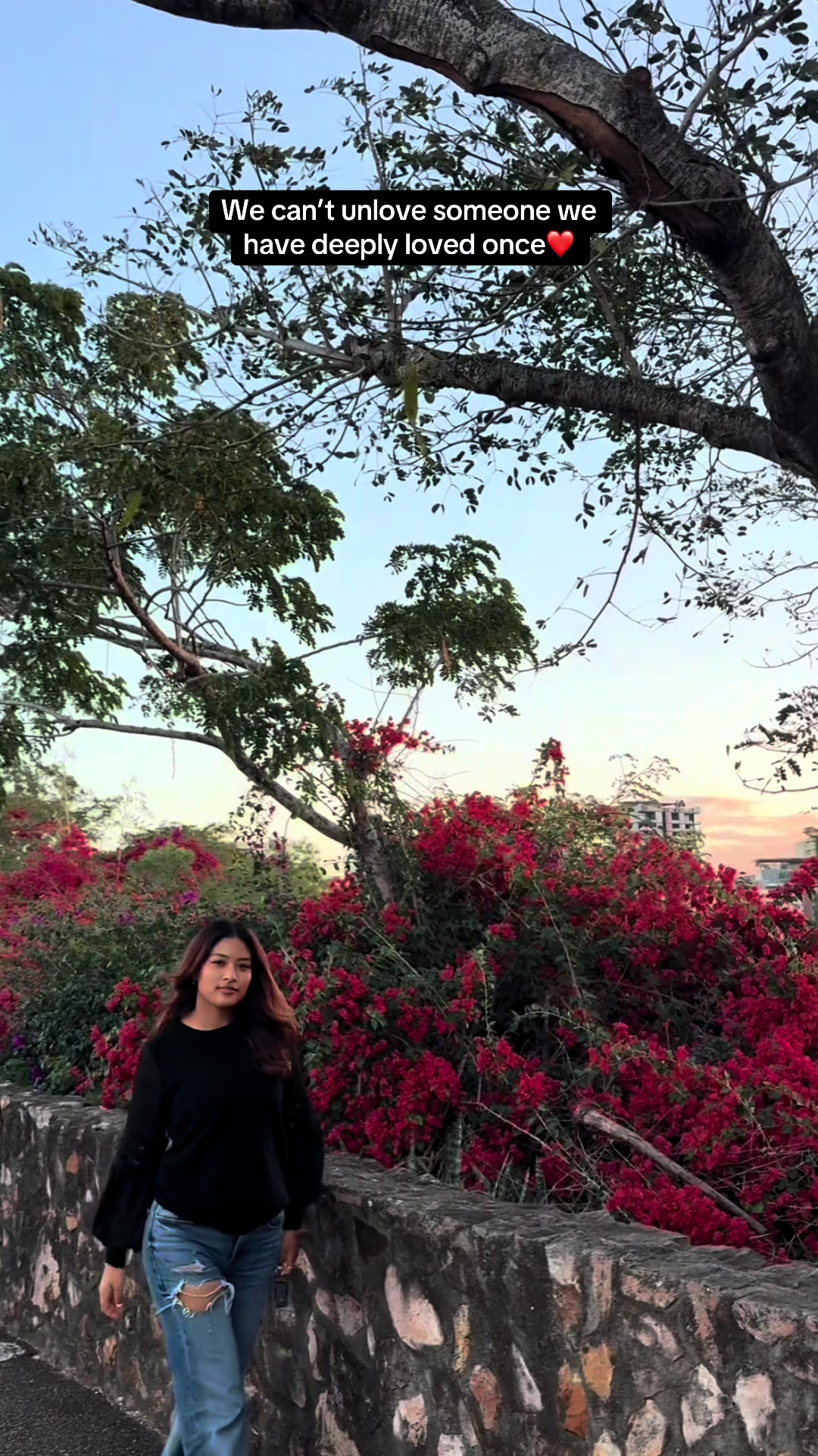 @Rajnandanishrestha