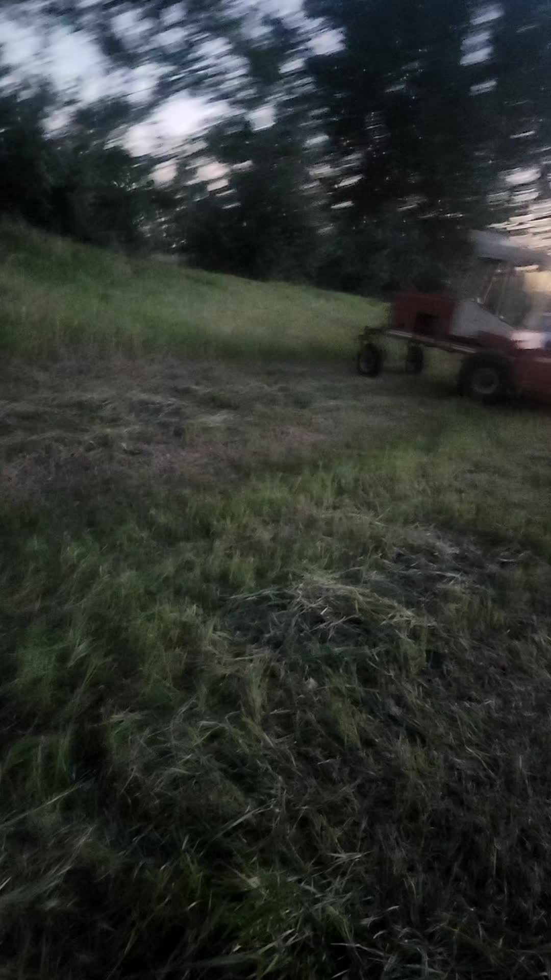@bigdaddydodge69
