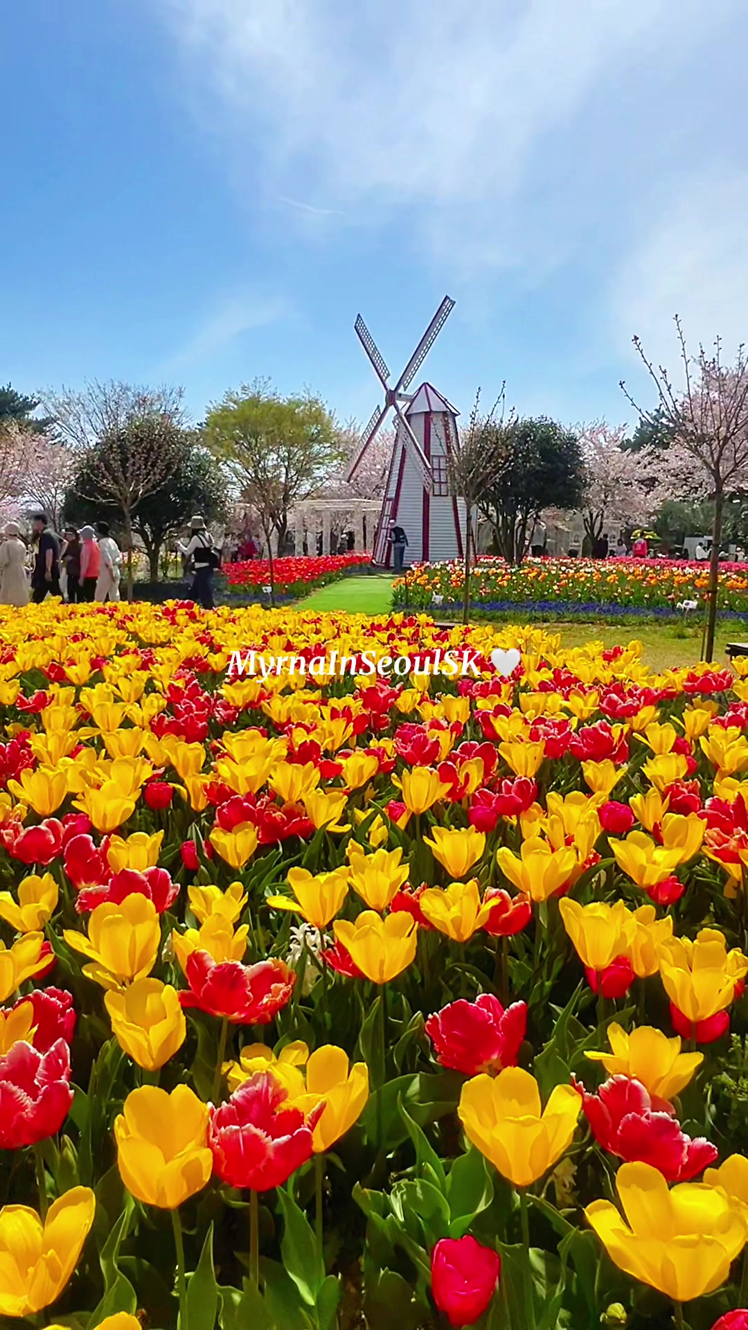 @MyrnaInSeoul 🤍 South Korea