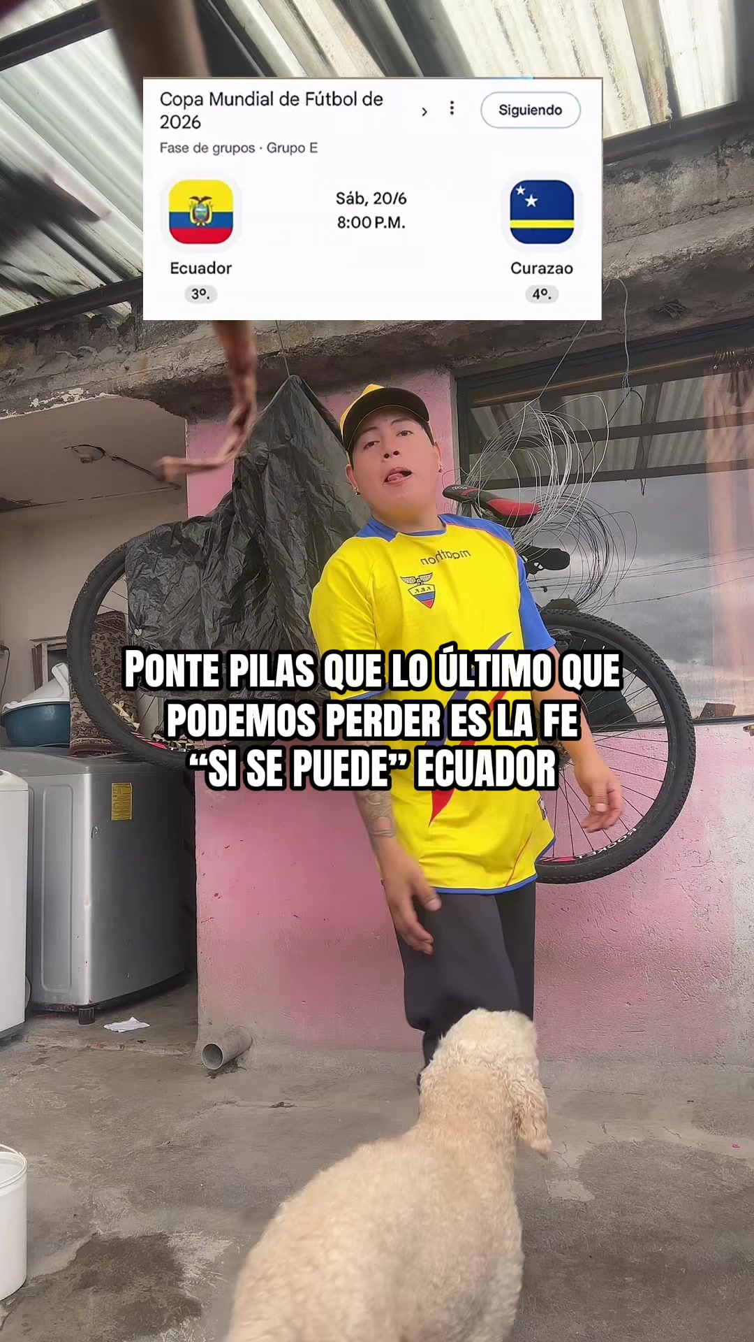 @Lumi.real