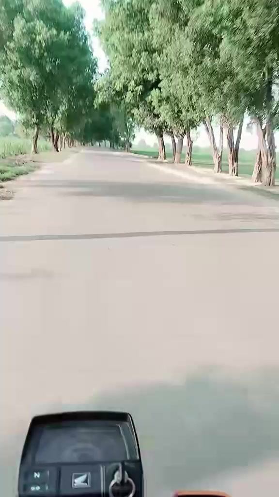 @asgarali9313