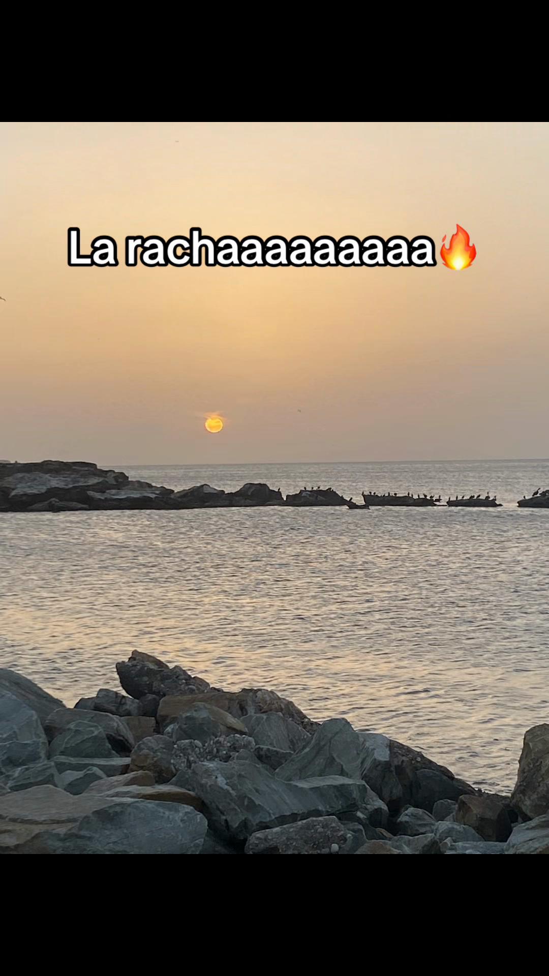 @Dany bb