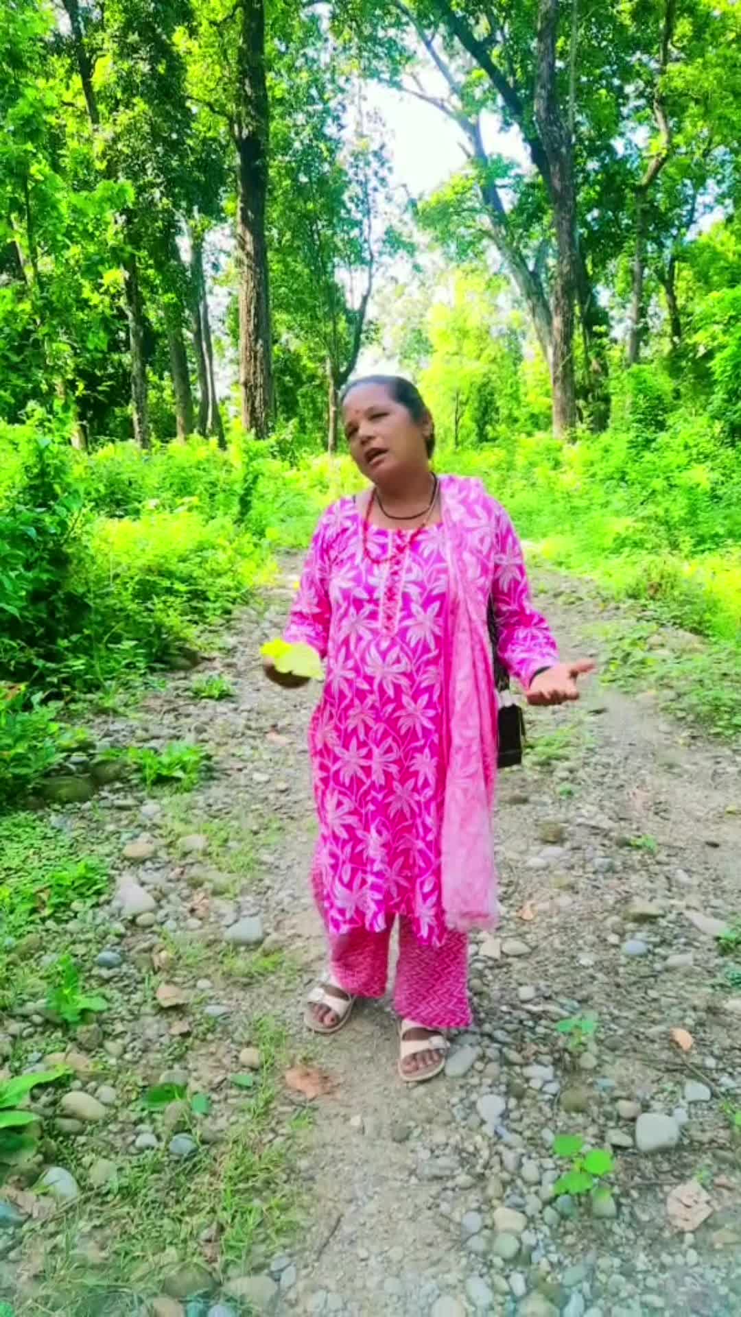 @Sita Devi BC🌼🌺