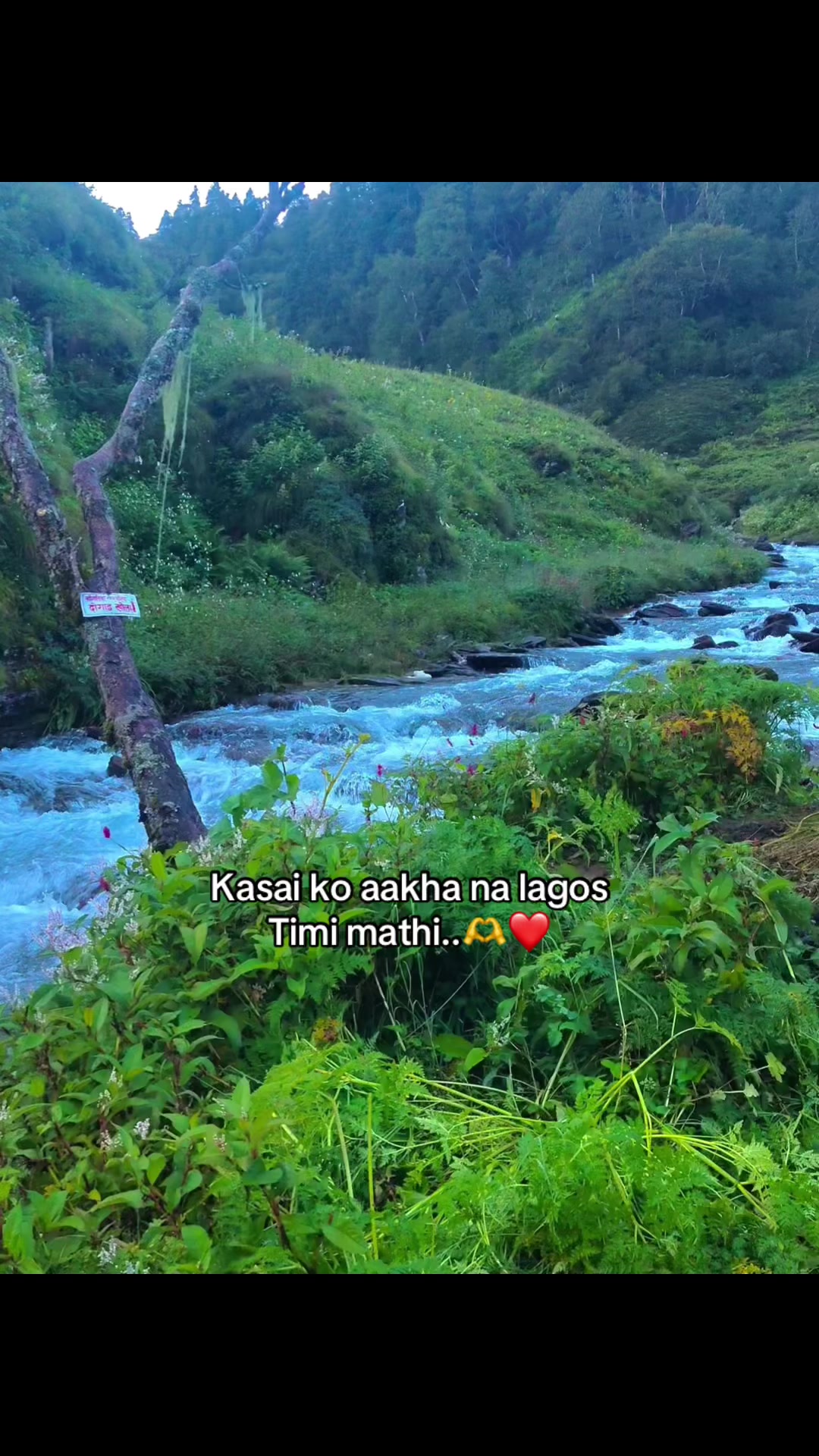 @Realwala_सौरभ✌🏻
