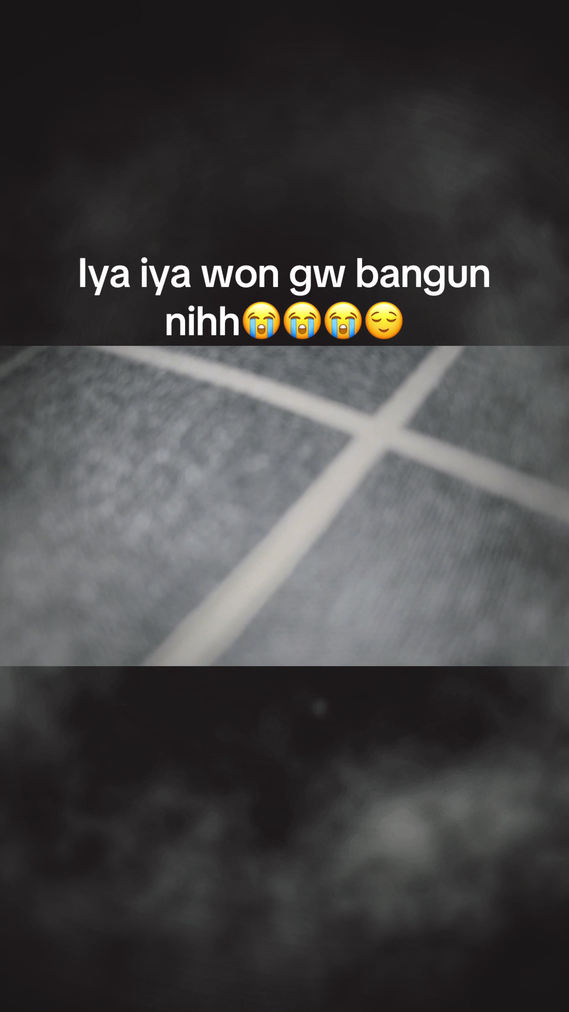 @Pinguin0805