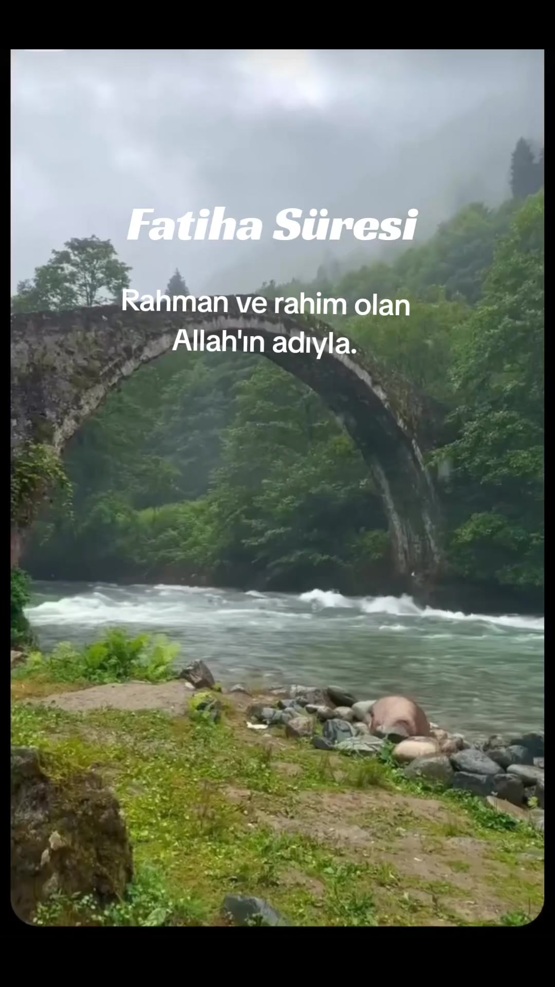 @naliya.53