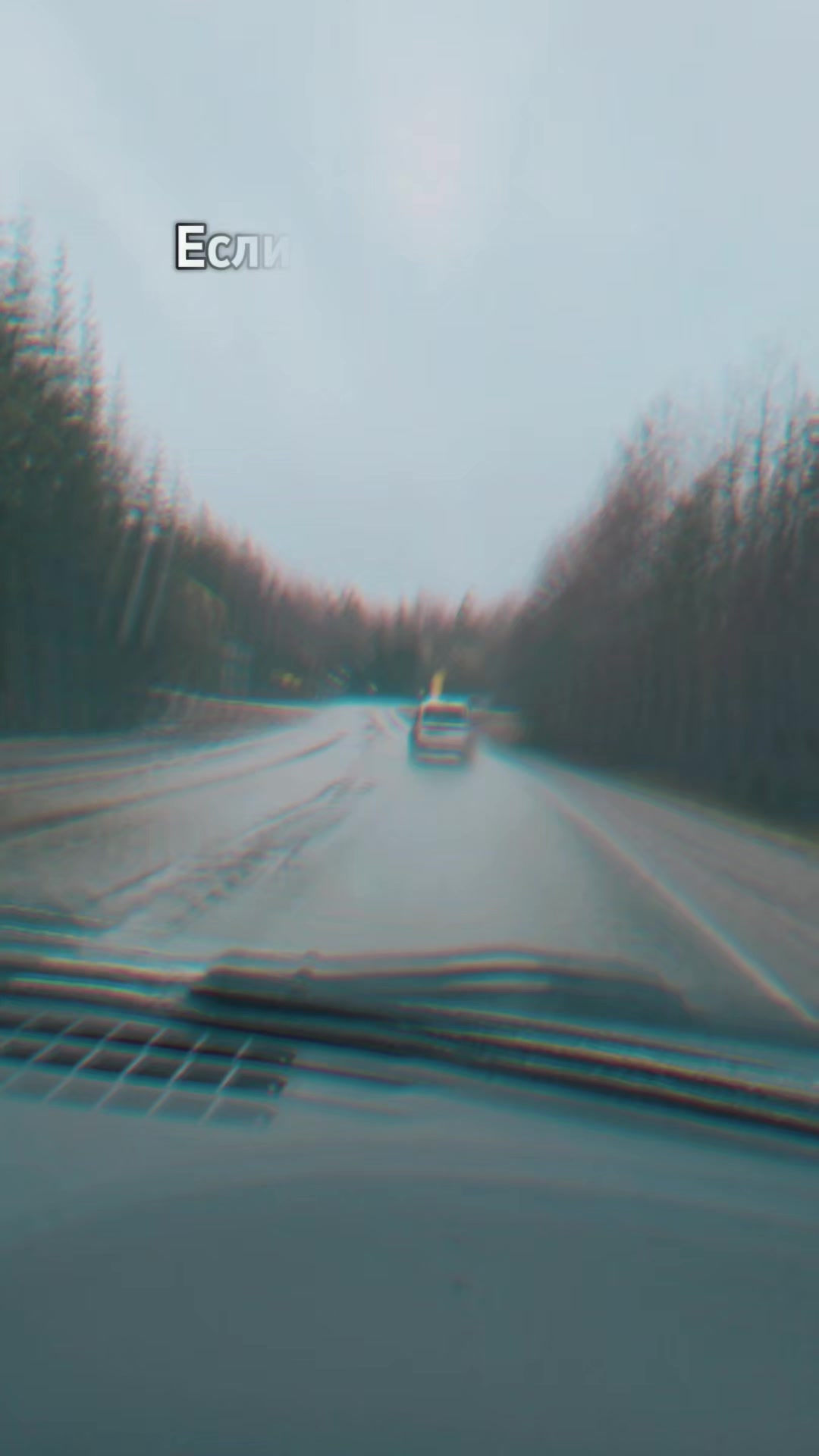 @Кудрявая