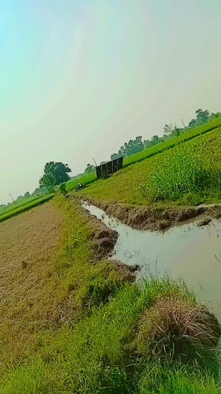 @tayyab awanawan 0866