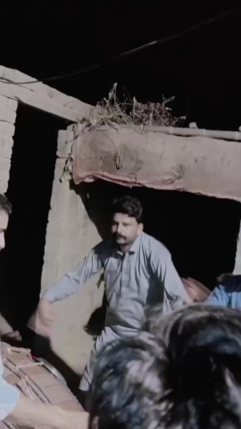 @janig03156367846