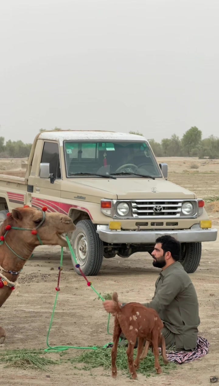 @🏎️حیاتان کیازی🏎️