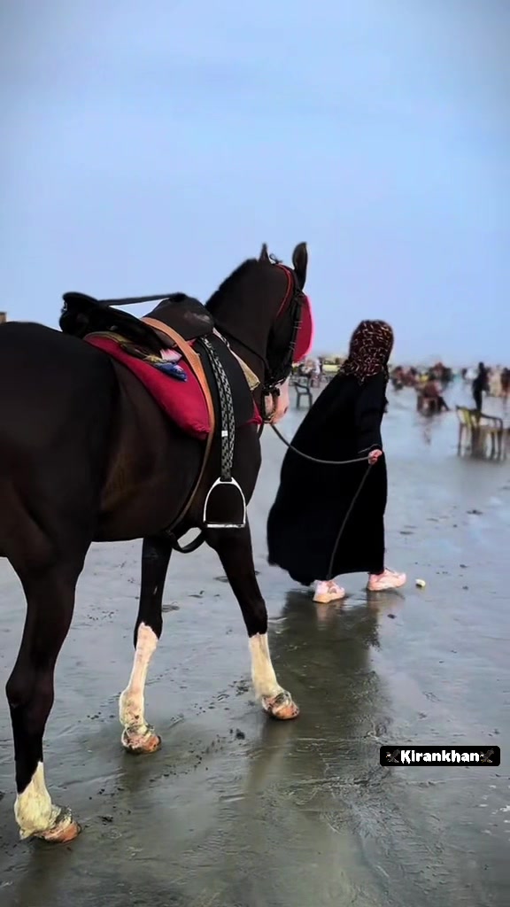 @ᥫ᭡.Ӄɪ𝓡ᴬ𝓝.Ꮶhan.᥆ꤪꤨ𝓕𝓕𝓲ℭ𝓲𝓁