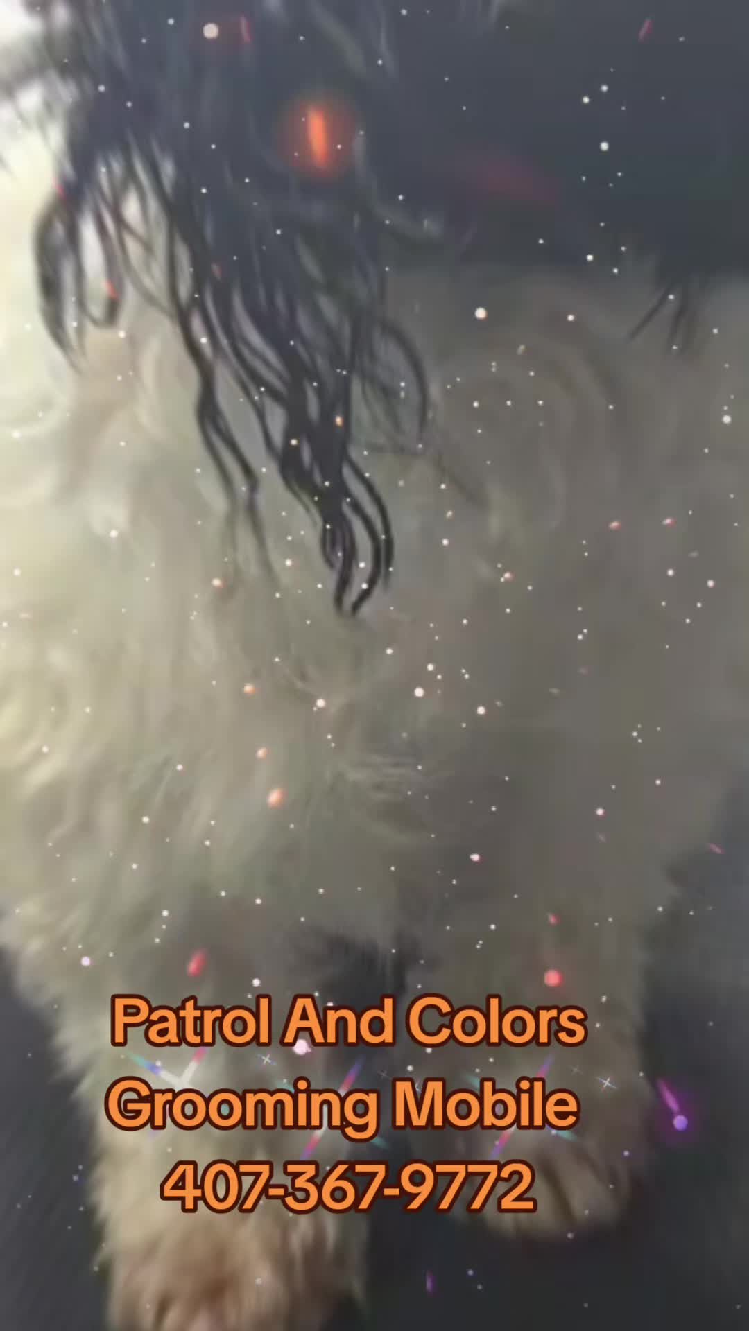 @Patrol and colors Grooming LLC
