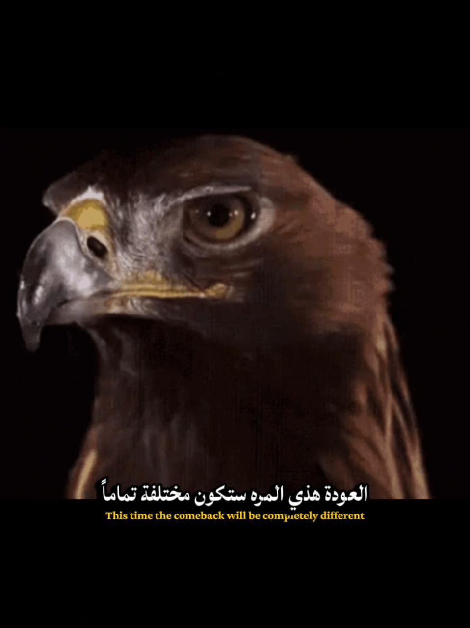 @aziz masri