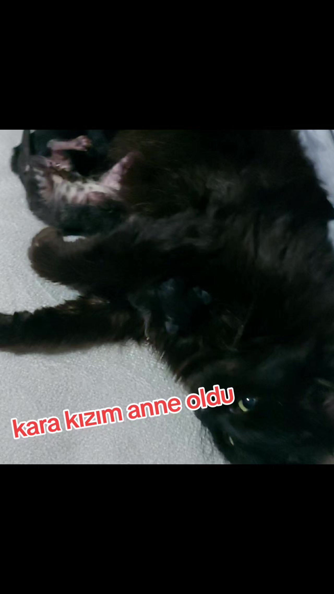 @GoncaBıçakUlaştısoy