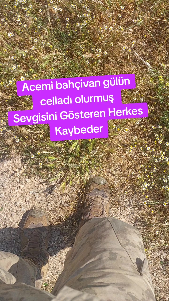@𝐌𝐘 𝐋𝐈𝐅𝐄 𝐌𝐘 𝐑𝐔𝐋𝐄𝐒