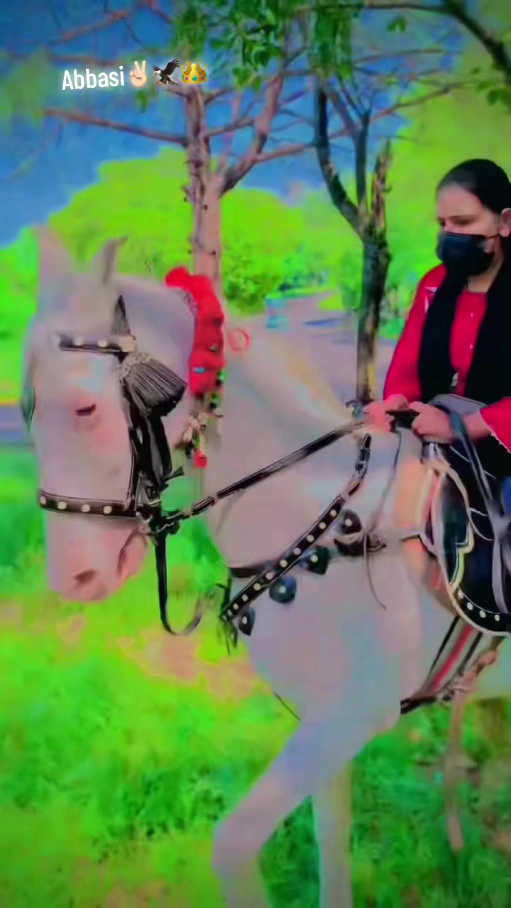 @⚜️فاطمہ عباسی فحرے مری⚜️