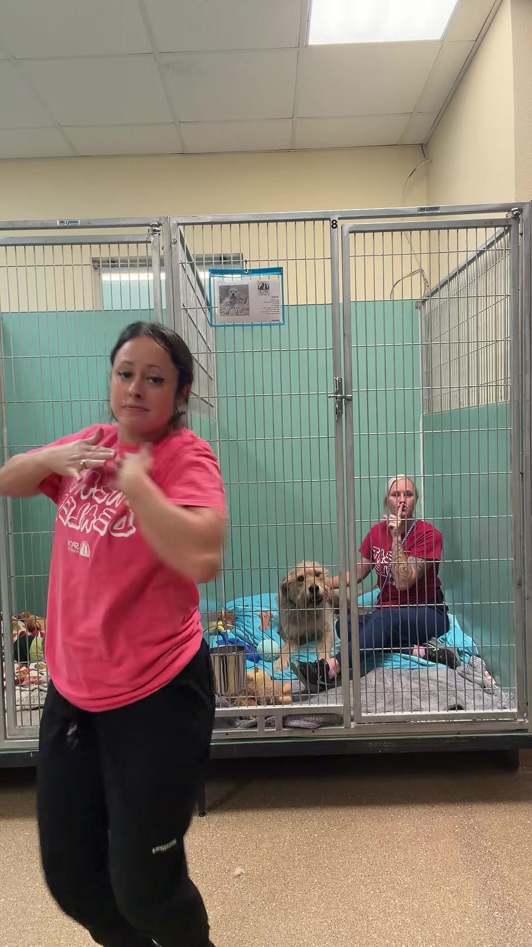 @2vettechs