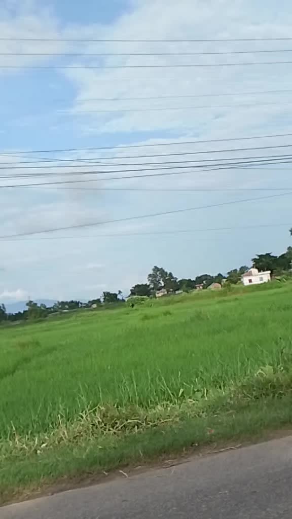 @shivji