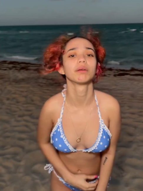 @SuccuDark