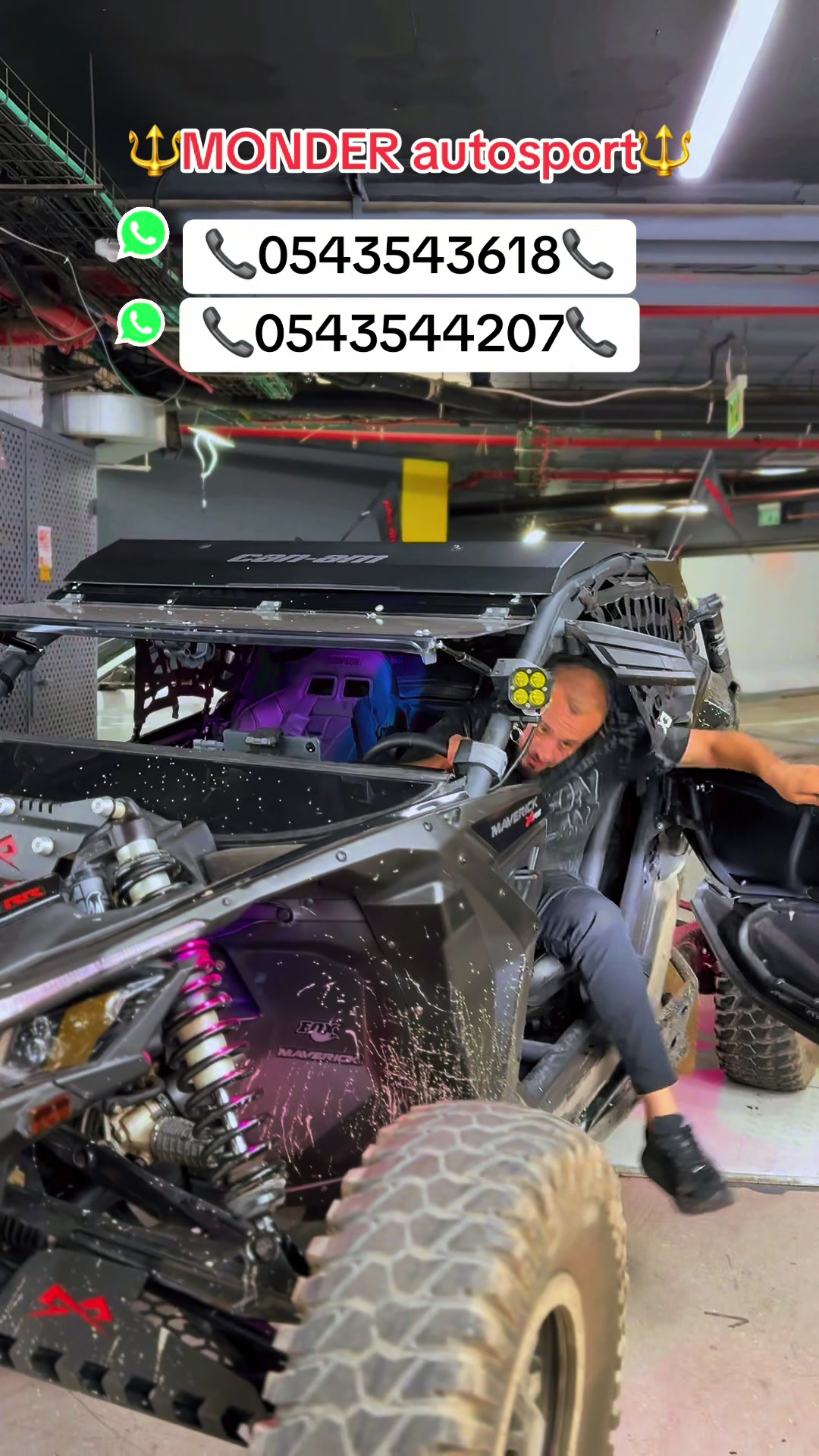 @amer.almonder