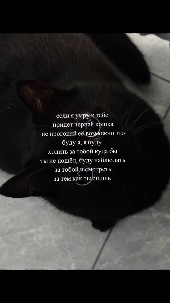 @zxcursed