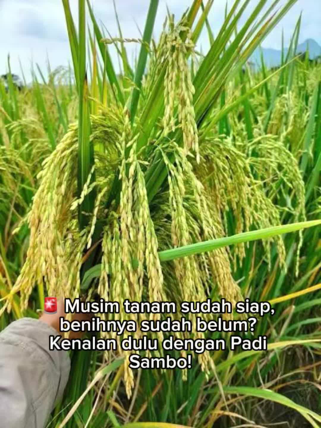 @PT. BHD INDONESIA