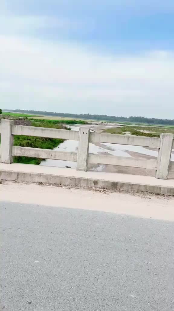 @Member Shahzaib