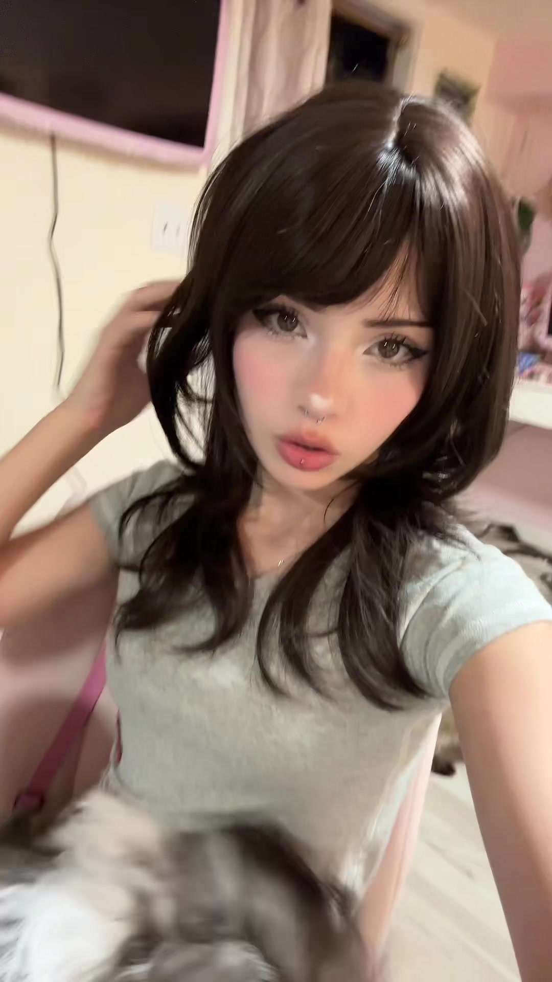 @koirine√
