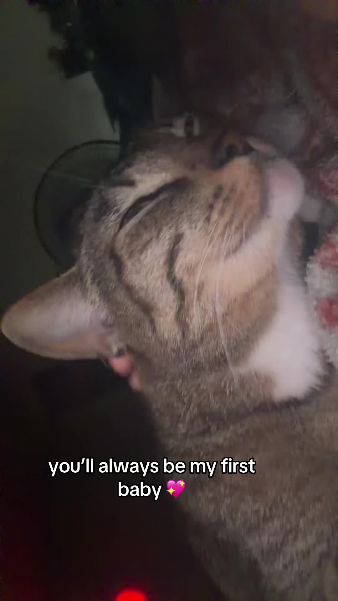 @chrisss🕸️