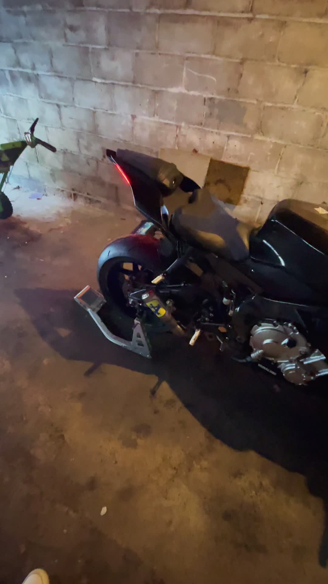 @_AL_Shark
