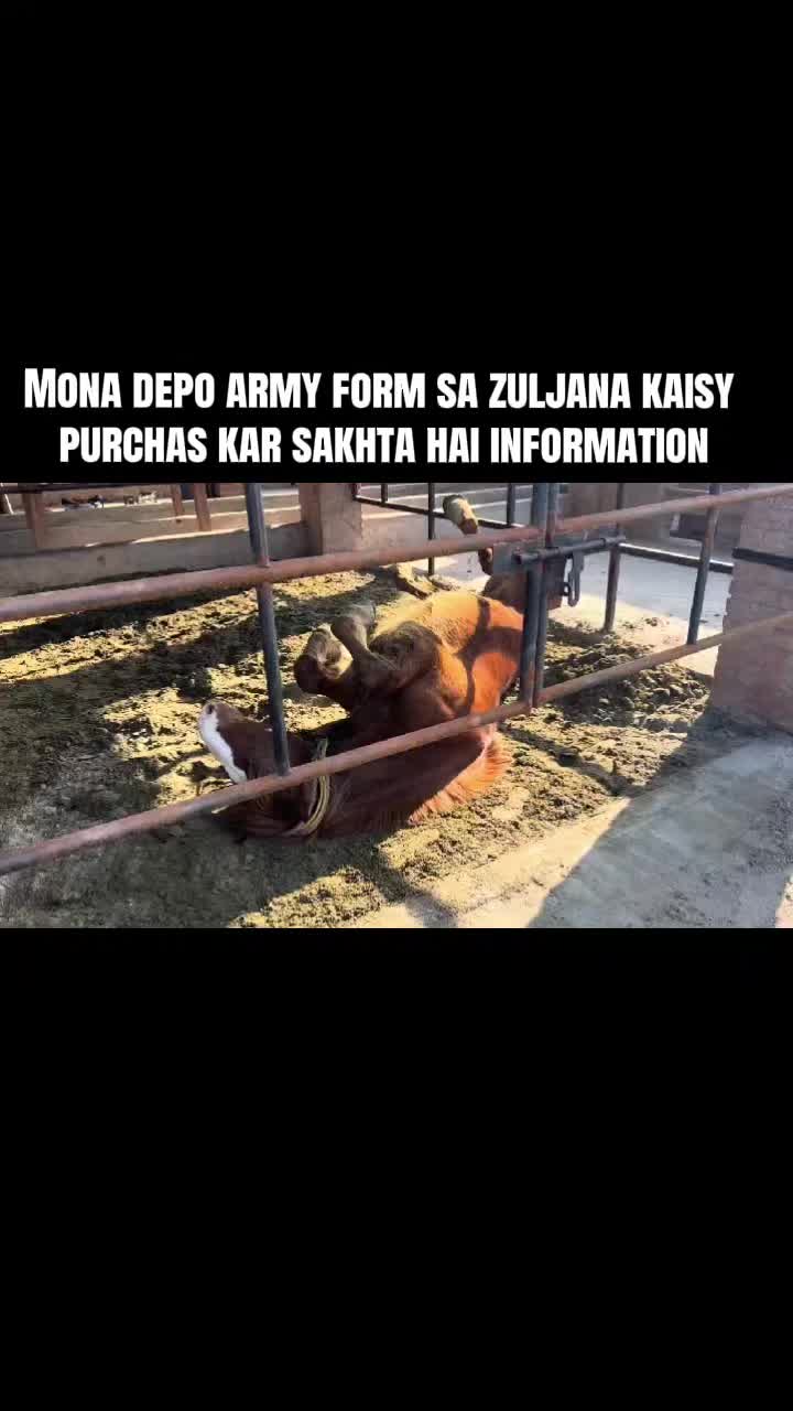 @hamara village sipyala🐴🐎🇵🇰