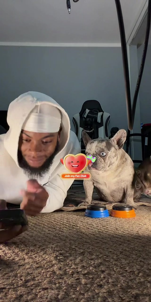 @Lifewithmark