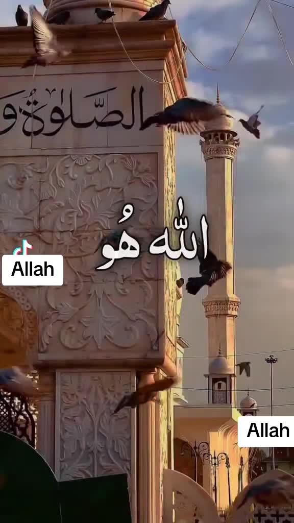 @Syeda Mujahid