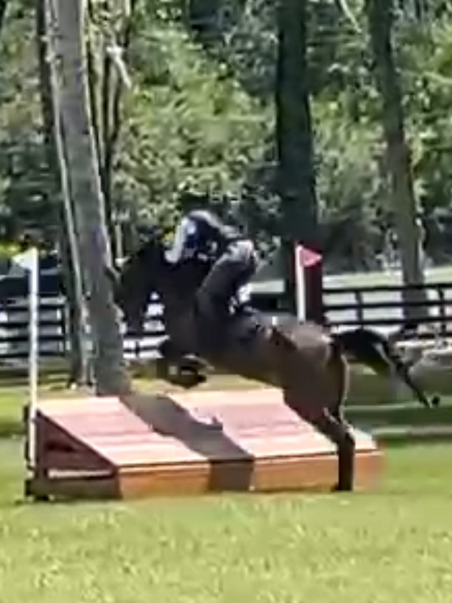 @sandbarfarm