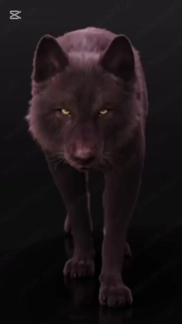 @乂卂ㄖ匚♡︎♑︎