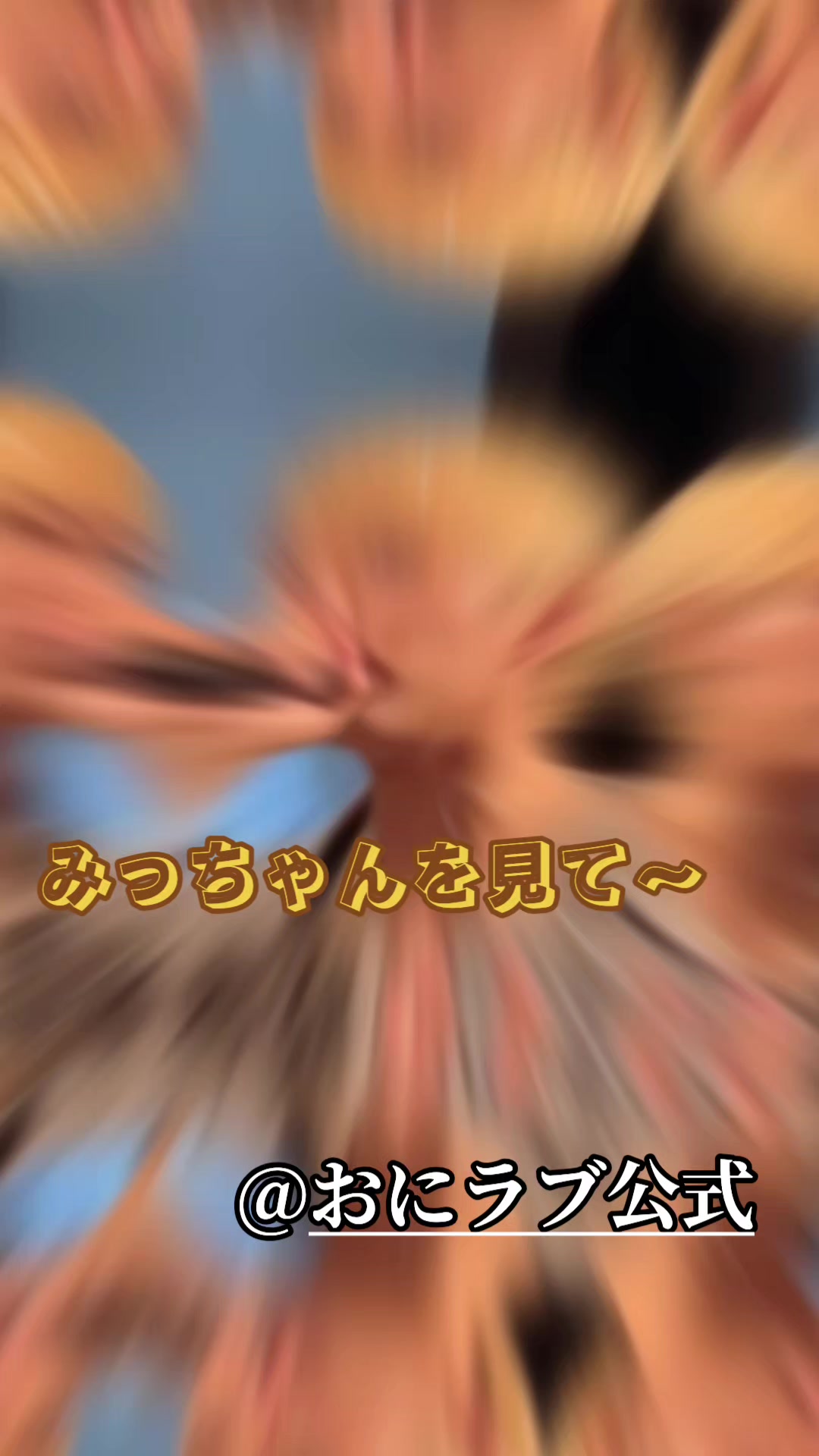 @とらちゃん