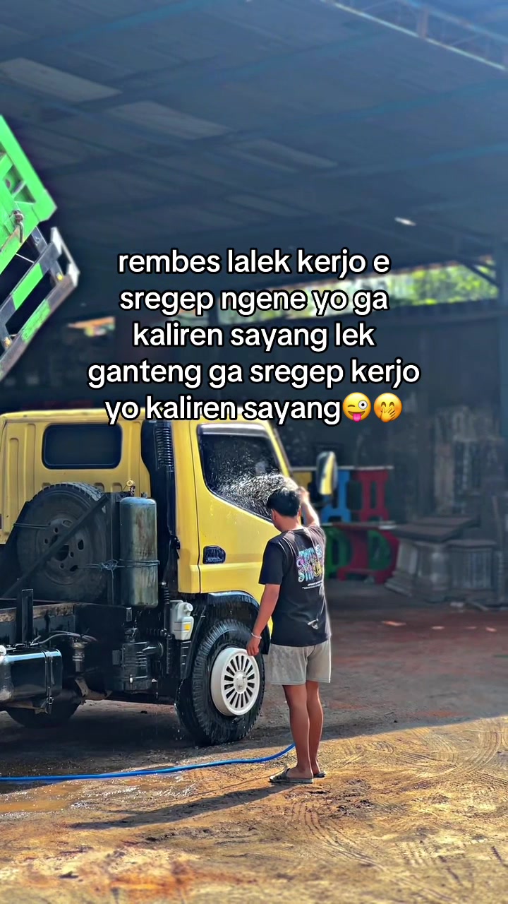 @alif_mdf