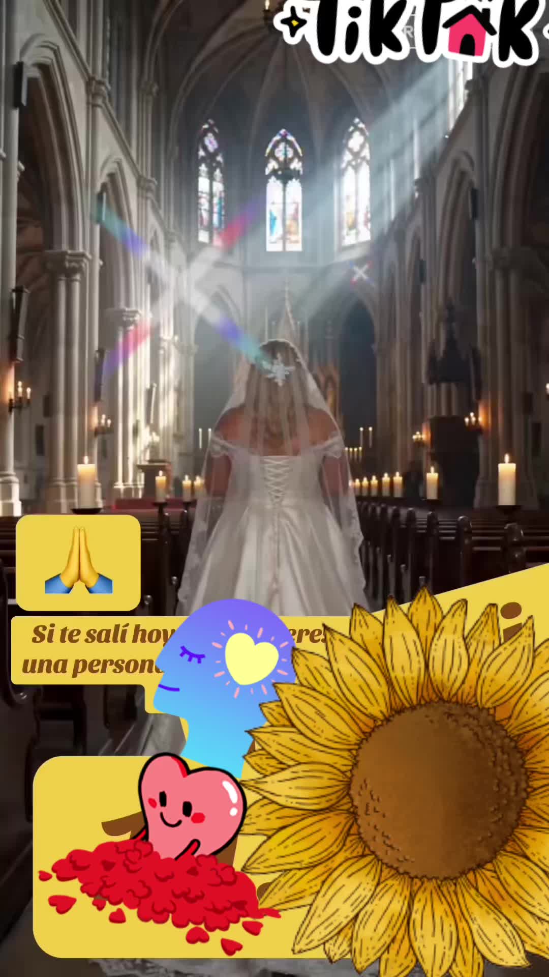 @cindy11.6