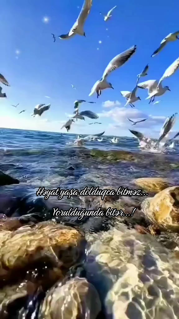 @✨️_HUZUR_✨️