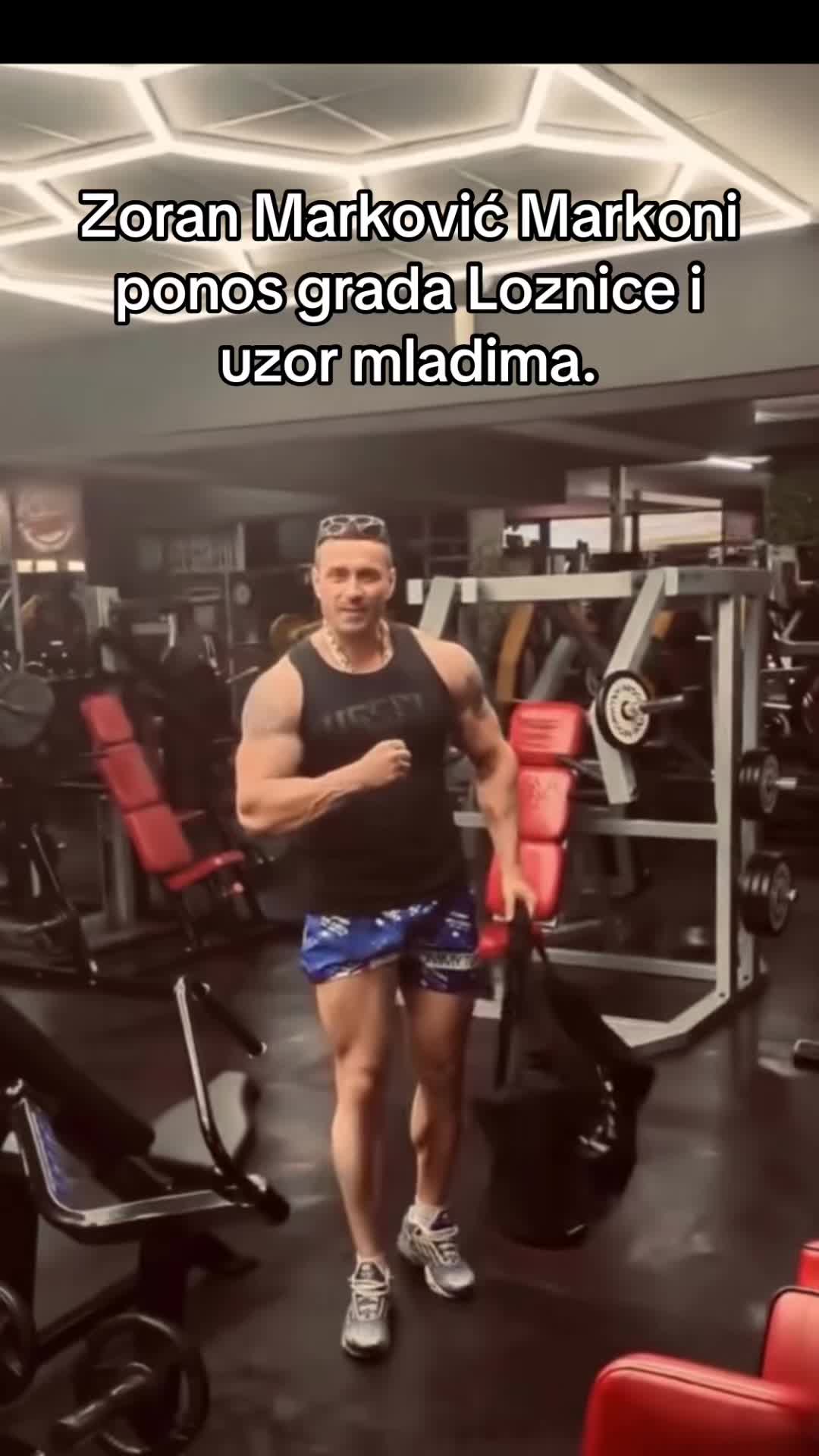 @balkan_bodybuilding