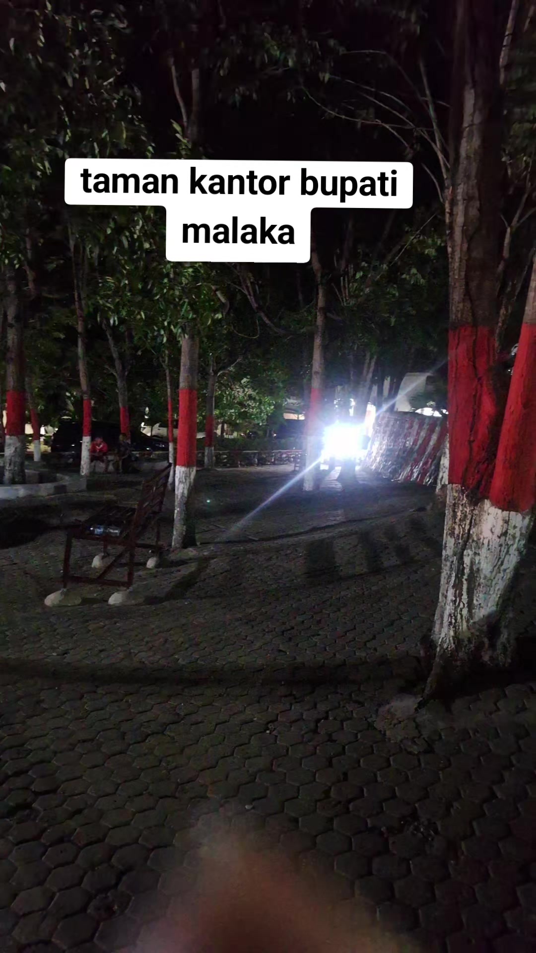 @max bikane