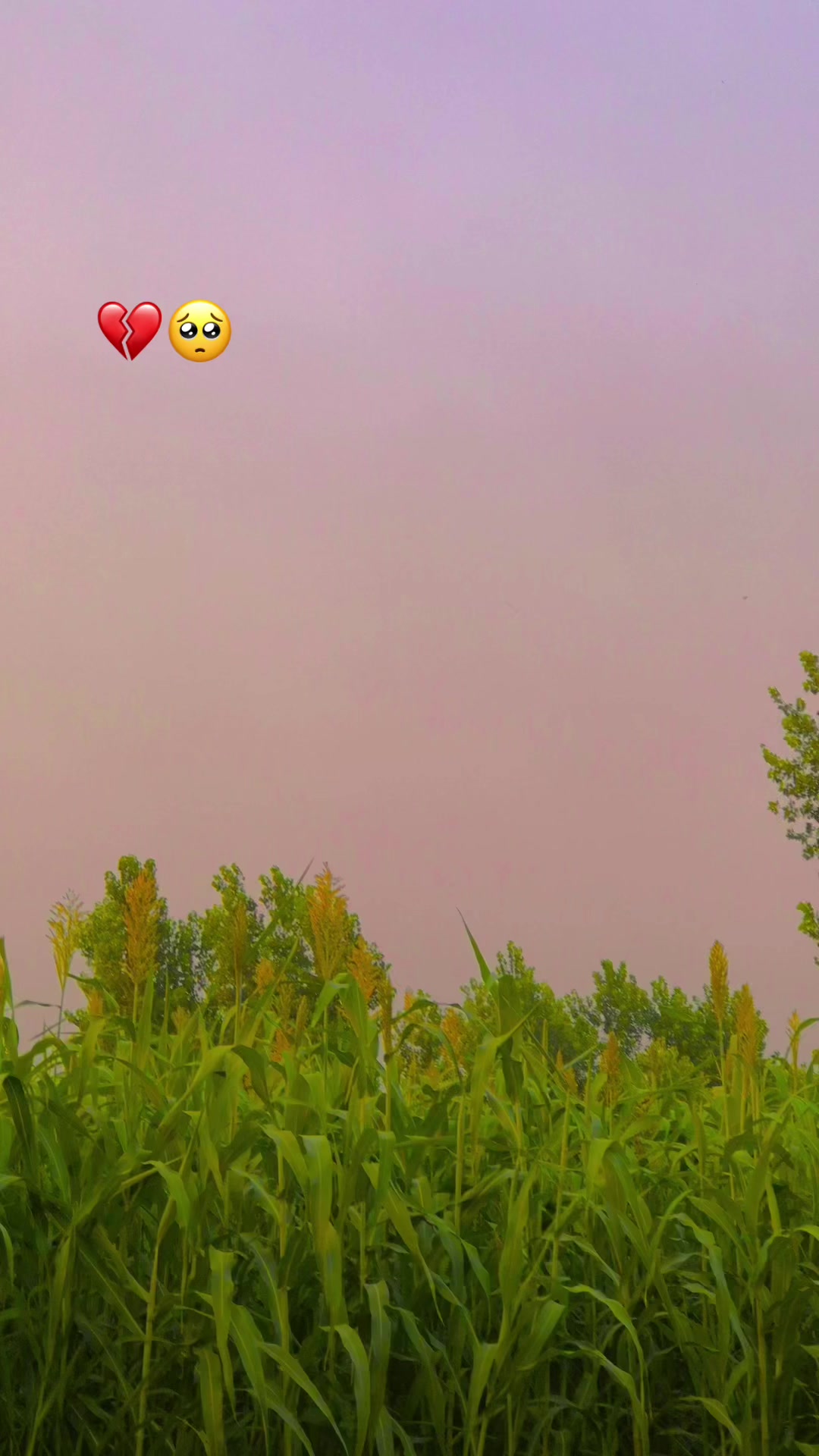 @♞ ✘👤𝙐𝙍 7⚜️𝙢𝘈𝙜𝙝𝙧𝙤‽🚩