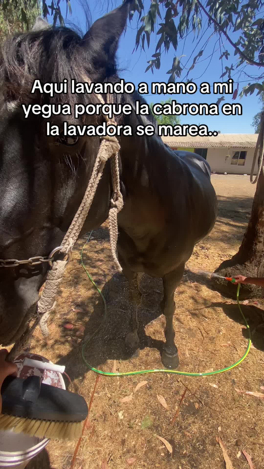 @krishna_aguilera17