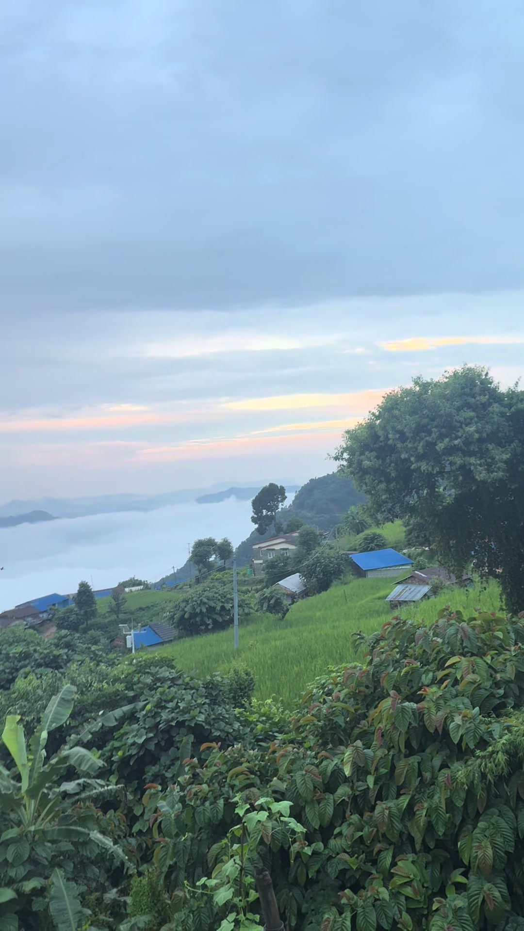 @Saraswoti paudel