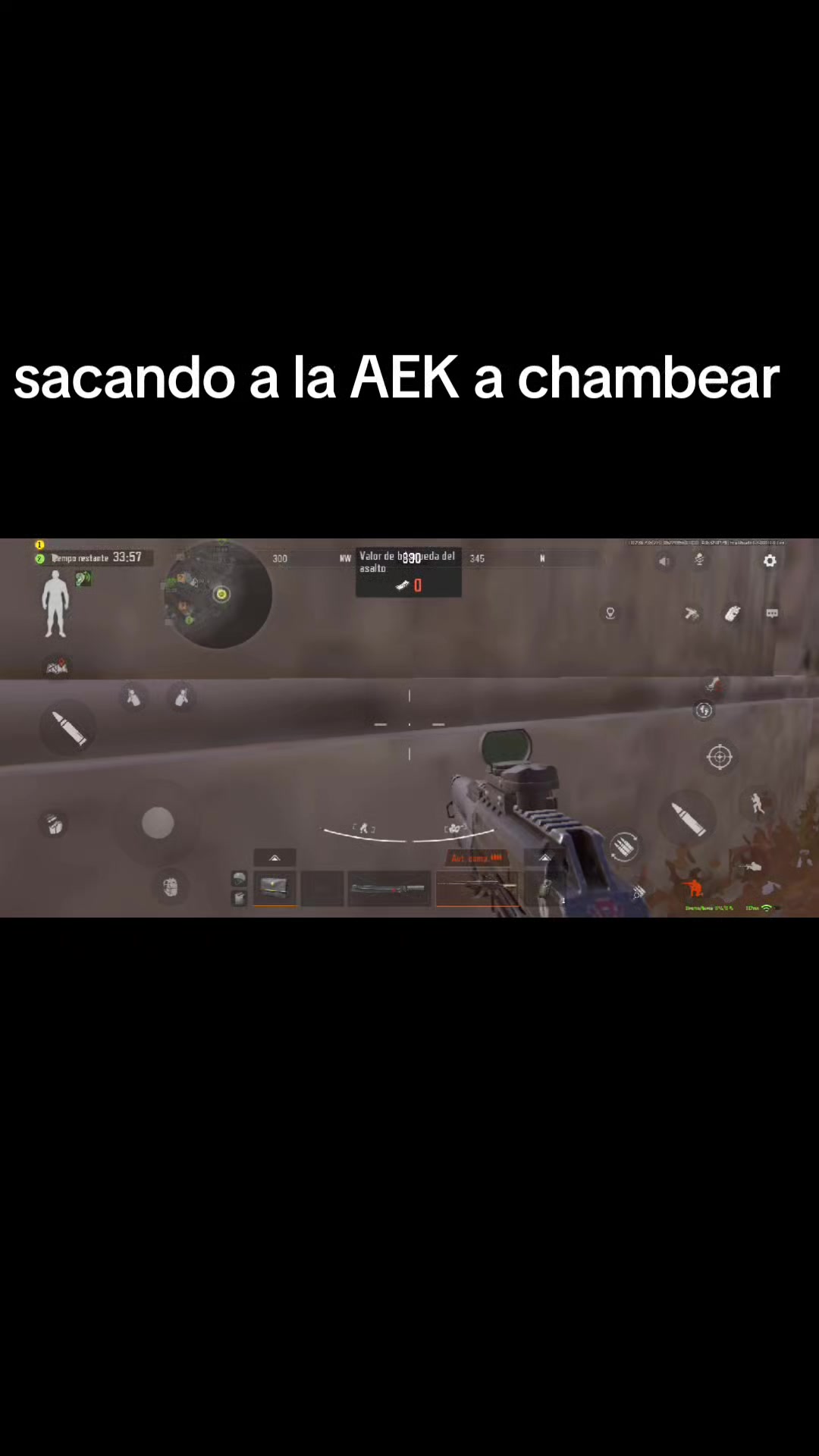 @gato de combate