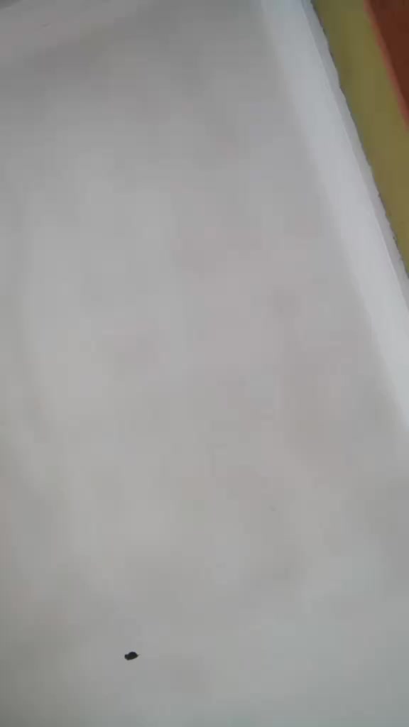 @eromoselelovena