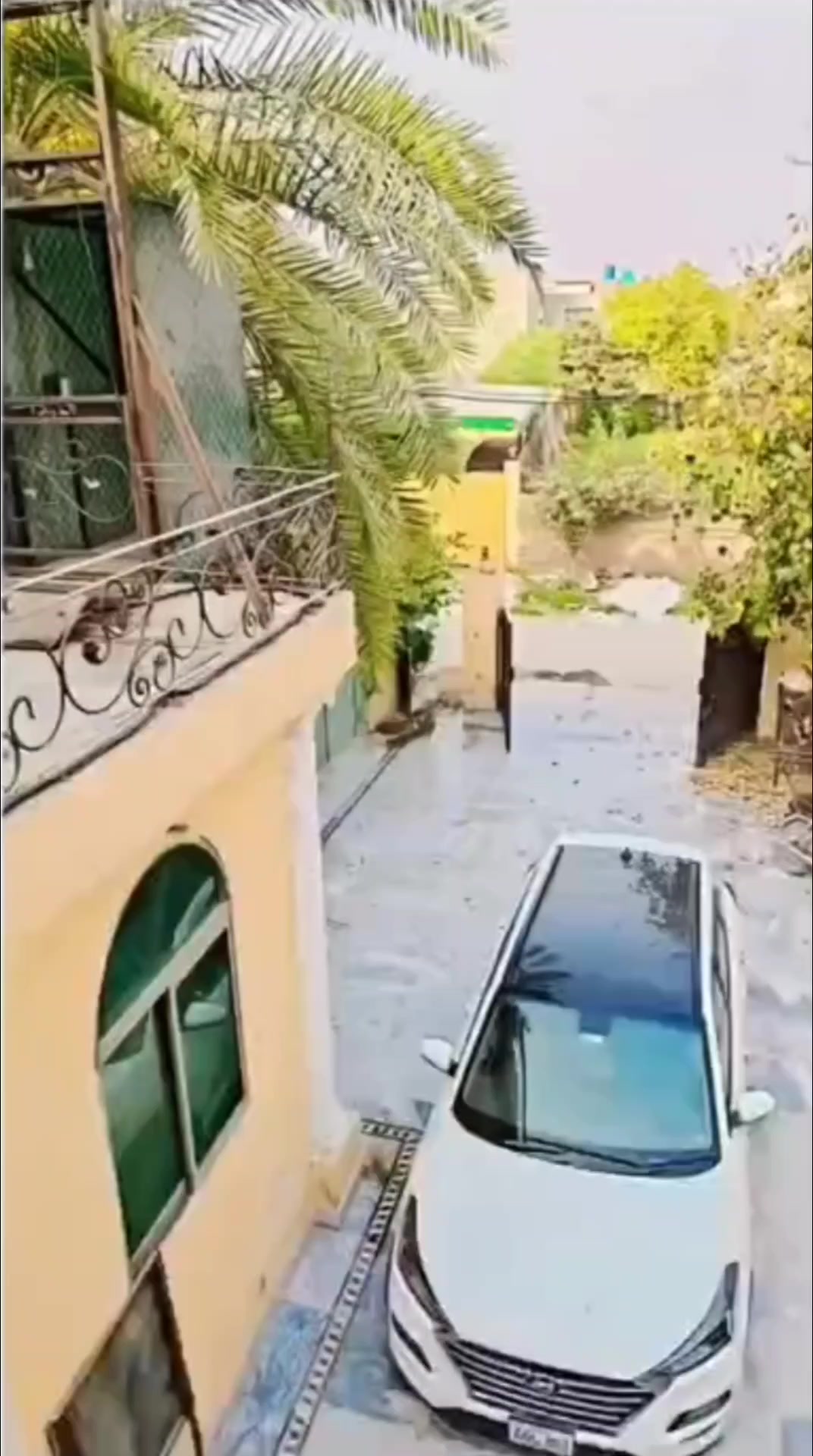@ЅᎯᎫᎫᎯⅅ ᏇᎯᏆᏆᎾᎾ 😔 ✅