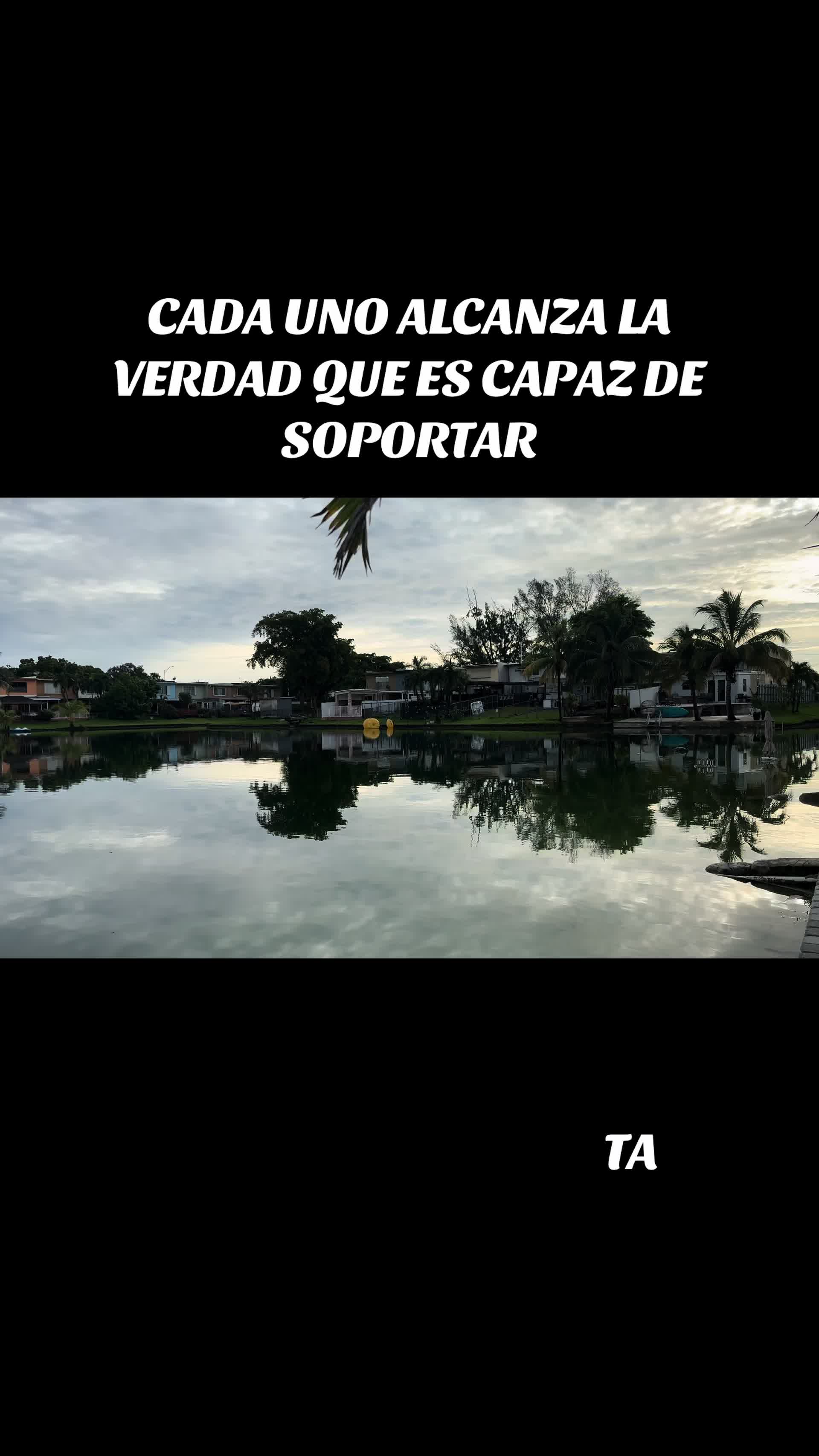 @Taimy