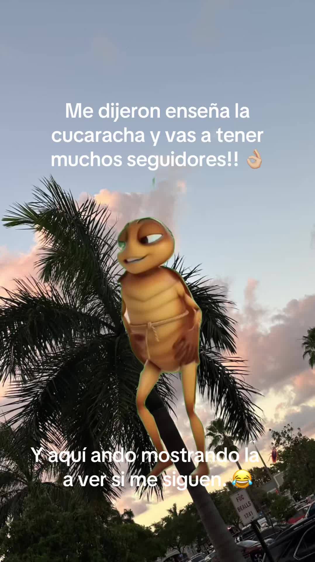 @⋆⁺₊ ☾.⋆₊˚ ✩𝒥𝑜𝒶𝓃𝓃𝒶 ✩₊☾⋆⁺₊