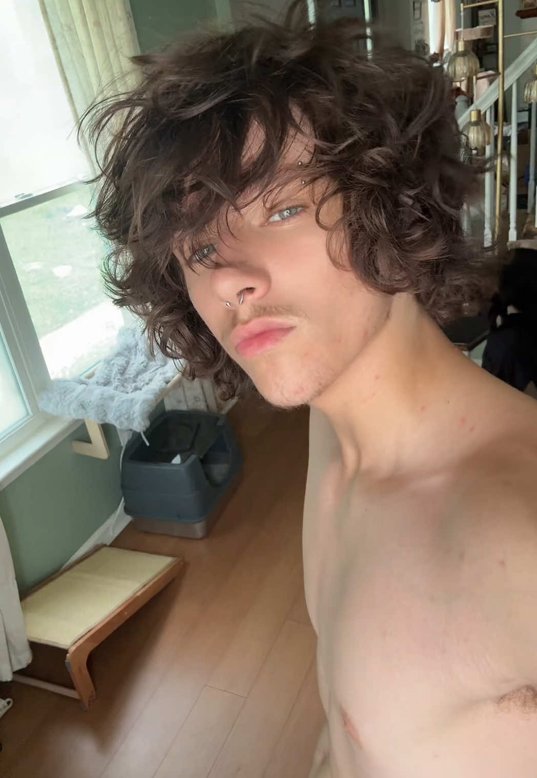 @mewlux